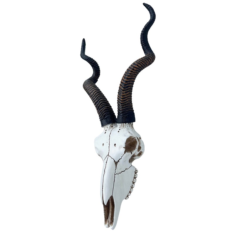 Top Brass 14 1/2" African Kudu Antelope Skull - Wall