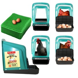 TOSSCA Nesting Boxes for Chicken Coops | Roll Away Hen House for Laying Eggs | Durable Plastic Chick Brooder Box with Perch & Pull Out Egg Tray for Poultry Farm | Chicken Coop Accessories (Pack of 5)