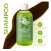Shampoo Capilar De Extracto De Bergamota 500ml