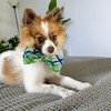 Huxley & Kent Pet Bow Tie | Lime Madras (Extra-Large)