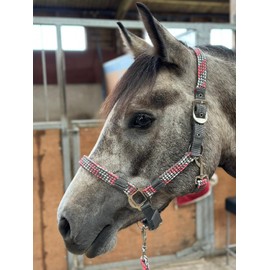 Equipride Braided Headcollar Lead Rope Set Size Full-Shetland Pink/Grey (Shetland)