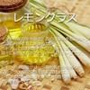 mocnhien Lemongrass Essential Oil Aroma Oil Essential Oil 100% Natural