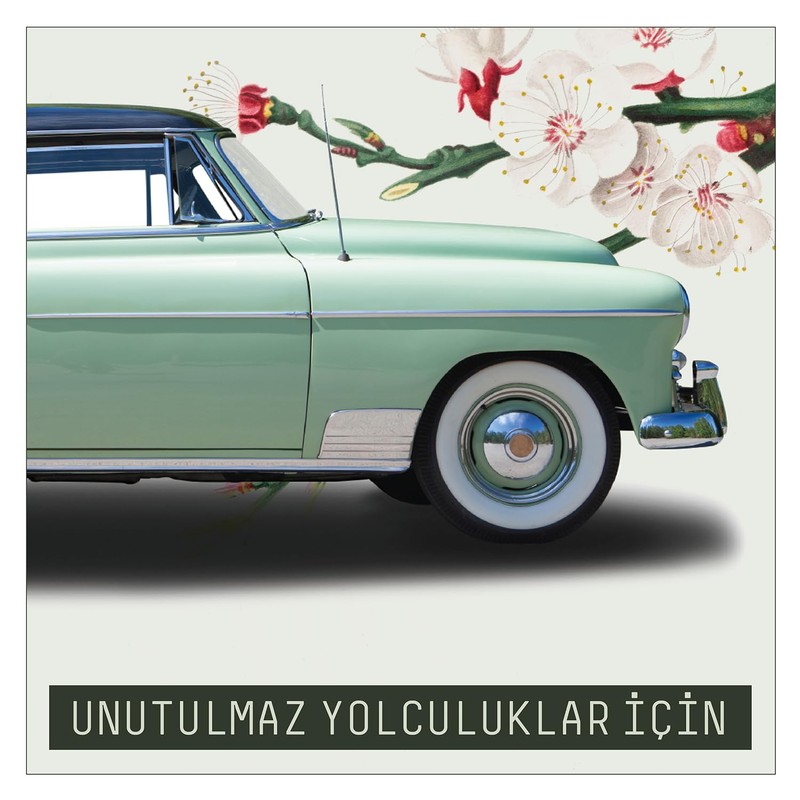 VAVANA Araba Klima Kokusu - Oto Kokusu 2'li Set (ARTISTIC