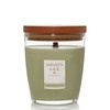 Nature's Wick Sage & White Pepper Scented Candle 10 ounces