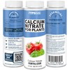 Calcium Nitrate Fertilizer, Promotes Healthy Growth for All Plants and