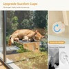 Pecute 2-in-1 Cat Window Perch & Wall Shelves, Cat Hammock