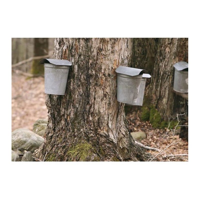 CountryMax Maple Syrup Reemay Prefilters for Filtering Sap and Removing