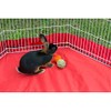 Prevue Pet Products Grassy Nibblers Squash Small Animal Chew Toy