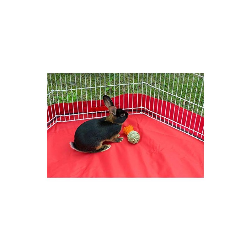 Prevue Pet Products Grassy Nibblers Squash Small Animal Chew Toy