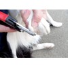Masterclip Dog Nail Clippers With Safety Guard | Professional Pet