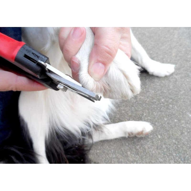 Masterclip Dog Nail Clippers With Safety Guard | Professional Pet