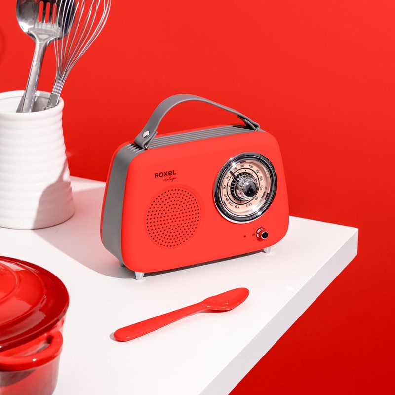 Roxel RFM01 Retro FM Radio Party speaker – Timeless Design,