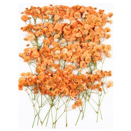 50Pcs Babys Breath Dried Pressed Flowers for Crafts,Xinxinran Orange Dry Flowers Kit for Resin Molds,Epoxy Resin Accessories,Bookmark,Jewelry Molds,Candle Making Supplies