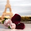 AfitLulu Velvet Ring Box Plucked Luxury Heart-Shaped Ring Storage Box