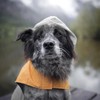 Dog Raincoat with Reflective Strip, Ultra Light Breathable Waterproof Dog