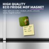 1 x Square MDF Fridge Magnet - Green Frog Nature