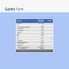 SanaExpert Gastro Forte with Pylopass, intestinal Treatment After antibiotics, bifido