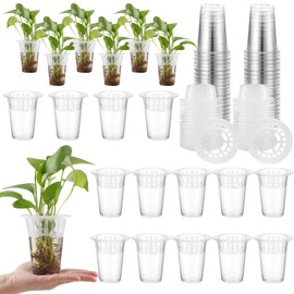 50 Pack Plastic Nursery Pots for Plants Terrarium Plant Propagation Station Tabletop Planting Vase with Hydroponic Baskets 4.5 In Clear Hydroponic Seed Pots for Indoor Plants Home Office Desktop Decor