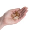 Earth Story Citrine Heat Treated Quality Large Tumblestone (Approx 2-3cm)