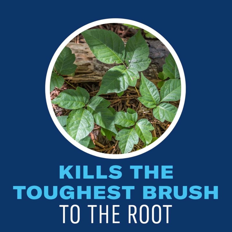 BioAdvanced Extended Control Brush Killer, Concentrate, 32 oz