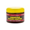 Secret d'Afrique Jamaican Black Castor Hair and Scalp Treatment