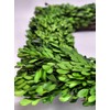 Tradingsmith Preserved Boxwood Square Wreath - 17"