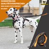 Hundefreund Jogging Lead for Large Dogs from 15 kg, Elastic