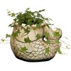 Classic Home and Garden 260023-C147 Largemouth Bass Succulent Planter, Sand