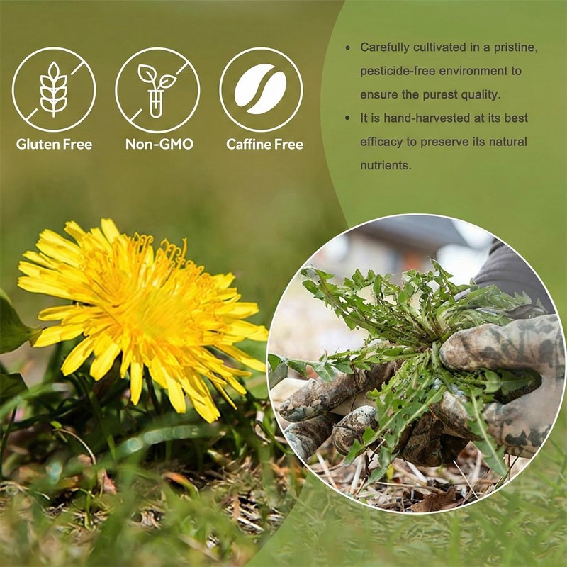 Organic Dandelion Loose Leaf Root Tea, Diente de Leon Hierba
