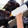 DOITOOL 5pcs 400ml Lamb Feeding Bottle, Small Animal Milk Bottle