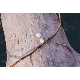 Sterling Silver Earrings for Women with Natural Shiva Eye - Small Round Silver Button Earrings with Round St Lucia Stone, Silver, Shiva eye.