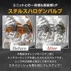信玄 T16 ハロゲン ステルスバルブ アンバー 2個セット ハロゲンバルブ ウィンカー ハロゲン球 ステルスウィンカーバルブ
