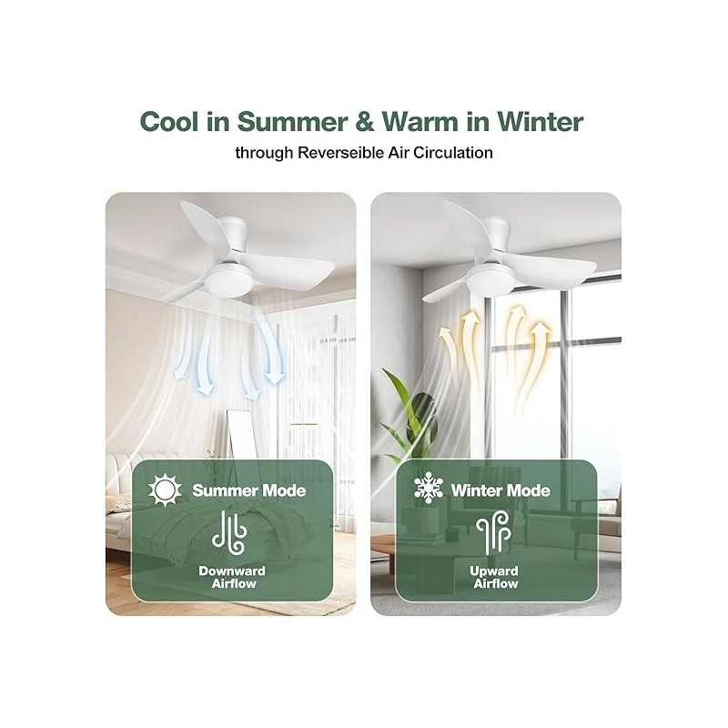 Acesal 30 Inch Ceiling Fan with Light APP & Remote