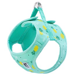 RC Pet Products Cirque Soft Walking Step-in Dog Harness, Pineapple Parade, X-Small