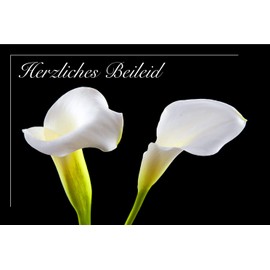 Merz Designkarten 18 Empathic Premium Sympathy Cards / Sympathy Cards in a Set with 18 Envelopes - Condolence Sympathy Card, Saying