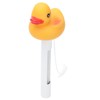 2Pcs Water Thermometer Set High Temperature Resistant Pool Chlorine Dispenser