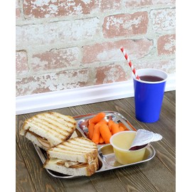 WG inc 2 Pack Stainless Steel Premium Divided Plates, 3 Compartment Dinner Plates, Stainless Steel kids plates, 10 inch Toddler Dishes, Great for Portion Control, Camping