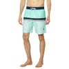 U.S. POLO ASSN. Stripe Swim Shorts Fresh Mint LG