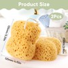 Natural Sea Sponge for Shower - 2PCS Large Ultra Soft