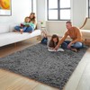 Ophanie Rugs for Living Room Grey, Fluffy Shag Large Fuzzy