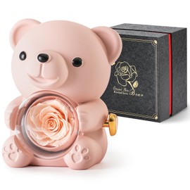 Ariceleo Rose Bear with Preserved Rose - Hidden Jewellery Box & Heart Necklace Women: Valentine's Day, Mother's Day, Wedding, Anniversary - In Gift Box (Champagne)