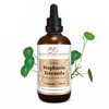 Stephania tetranda tincture, stephania root tincture in extract ratio 1:4,