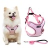 JdotMIN Harness for Dogs and Cats, No-Pull Dog Harness Small