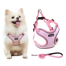 JdotMIN Harness for Dogs and Cats, No-Pull Dog Harness Small Medium, Adjustable Reflective Pet Puppy Step in Harness Vest, Easy Walk Soft Breathable Padded Dog Leash Set (Pink, M)