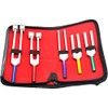 Precise Canada Premium Tuning Fork Set of 5 Pcs C2048