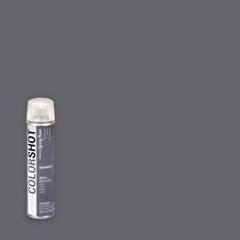 COLORSHOT Gloss Spray Paint, Shark (Dark Grey), 10 oz