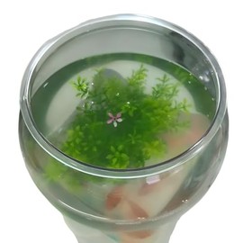 Plastic Fish Bowl Beta Fish Aquariums Scratch-Resistant and Shatterproof Mini Desktop Hydroponic Goldfish Tank (0.92Gallon/ 3.5L)