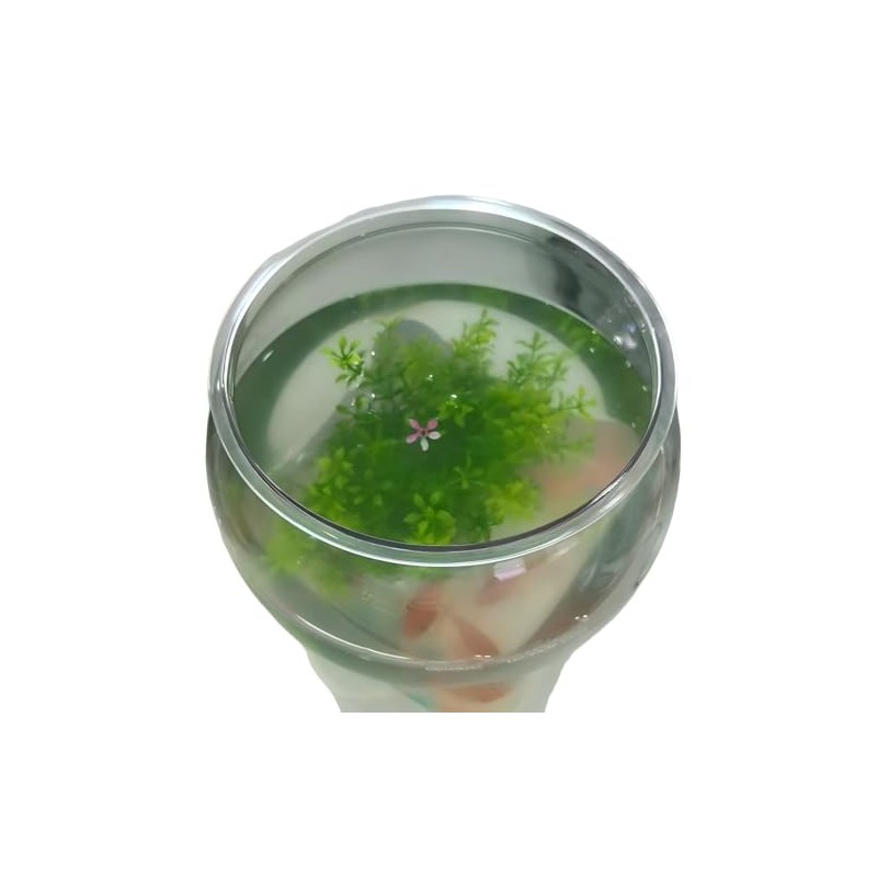 Plastic Fish Bowl Beta Fish Aquariums Scratch-Resistant and Shatterproof Mini