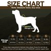 VIVAGLORY Easefit Dog Harness for Walking Hunter & Training, No