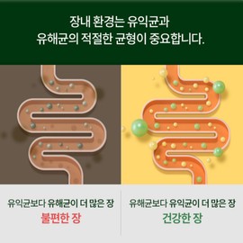 Bifidobacterium Colon Lactobacillus Bifidobacterium Longum Bifidobacterium Rhamnose Lactobacillus Approximately 2 months supply / 비피더스 대장 유산균 비피도박테리움 롱검 비피더스균 람노스 유산균 약2개월분